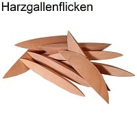 Harzgallenflicken in Fichte, Kiefer, Buche, Eiche, Ahorn, Birke und vielen anderen Holzarten